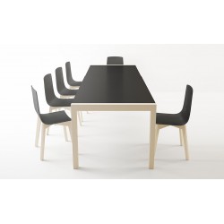 Mesa Concept Extensible