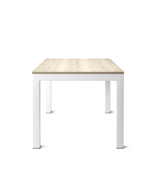 Mesa Tokio