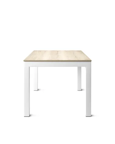 Mesa Tokio