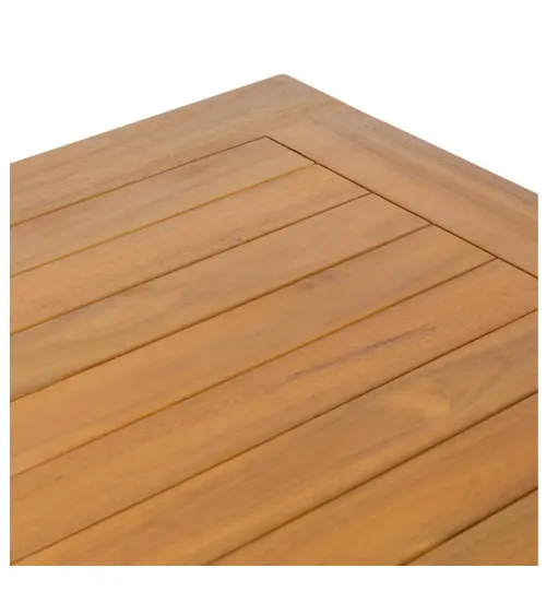 Mesa Nina