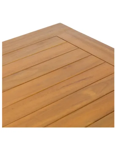 Mesa Nina