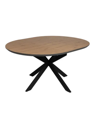 Mesa Selyne