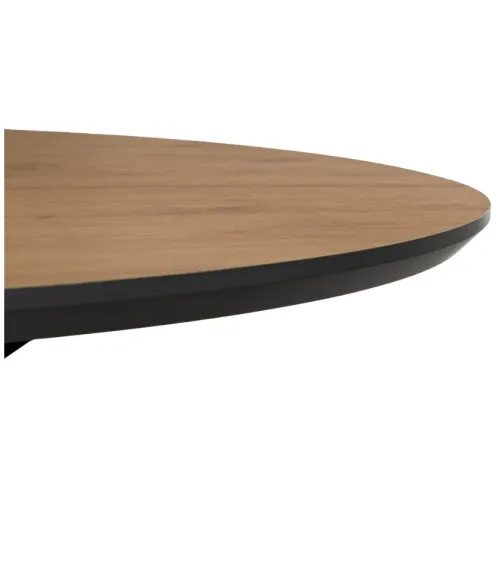 Mesa Selyne