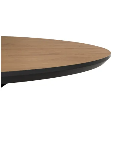 Mesa Selyne