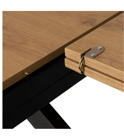 Mesa Selyne