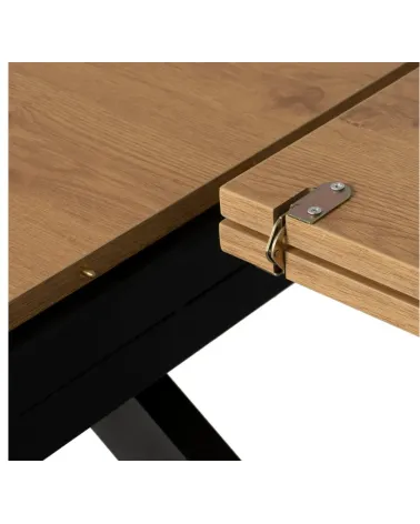 Mesa Selyne