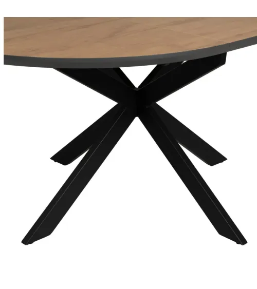 Mesa Selyne