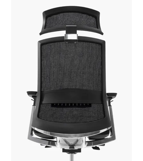 Silla Toronto