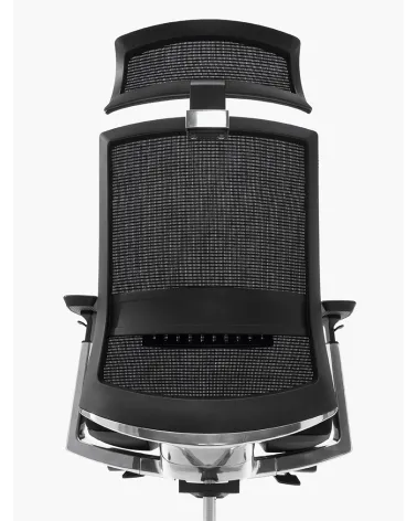 Silla Toronto