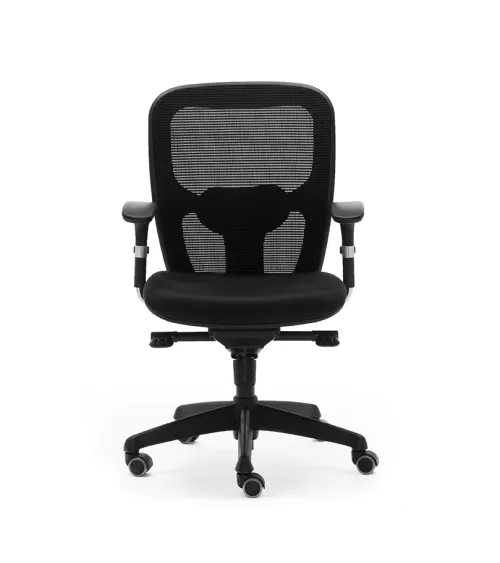 Silla Boston