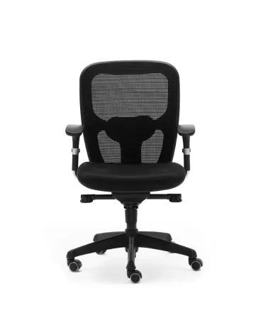 Silla Boston