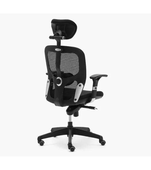 Silla Boston