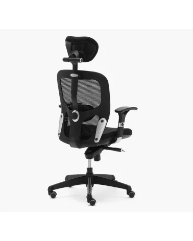 Silla Boston