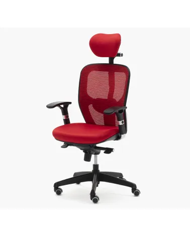 Silla Boston