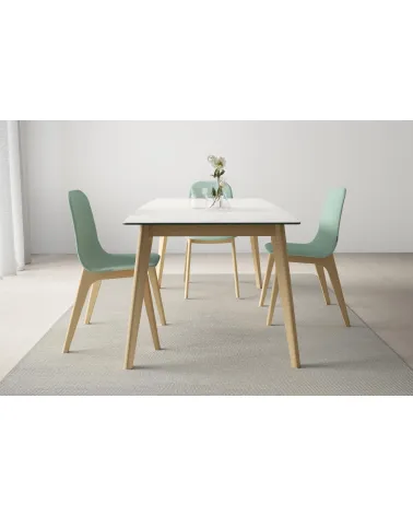 Mesa Atlas Fija
