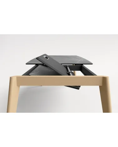 Mesa Atlas Extensible